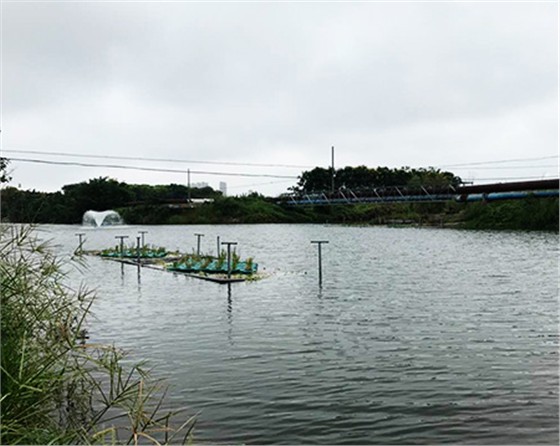 未標(biāo)題-黑偉黑偉沉水式風(fēng)機(jī)使用方便噪音?。? />
</p>
        </div>
        <!--分頁(yè)-->
        <div   class=